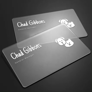 PVC PET prozirna matirana kartica najbolje kvalitete s prilagođenim logotipom