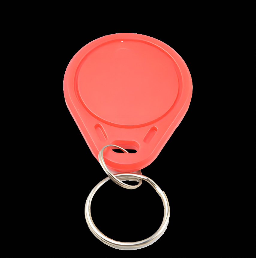 13,56MHz/125kHz RFID-n&oslash;gleh&aring;ndtag Smart ID-n&oslash;gle