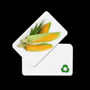100% biorazgradiva RFID PLA kartica ECO friendly PLA list za izradu kartica