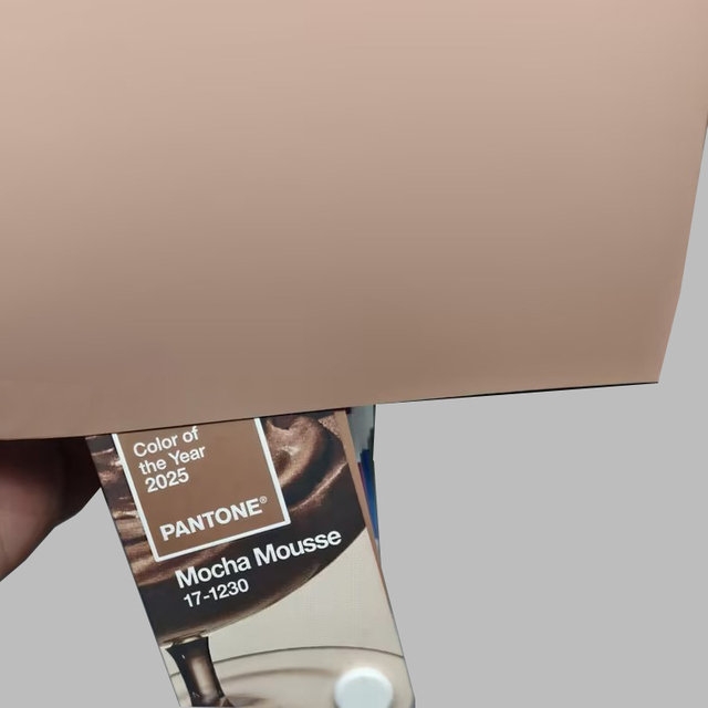 2025 Trend Kleur: Mokka Mousse PETG Blaaie vir Meubelpanele