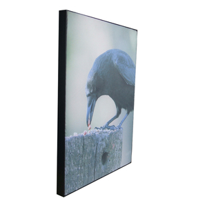 Qutiya ronahiya &ccedil;ar&ccedil;oweya qumaş&ecirc; ya reklam&ecirc; ya LED-&ecirc; ya super nazik ji bo karan&icirc;na hundur&icirc;n | Wallis Custom