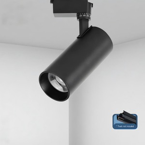 10W / 20W / 30W Led Spotlight COB ya n&ucirc;jen ronahiya şop&ecirc; ya li ser r&ucirc;y&ecirc; erd&ecirc; 